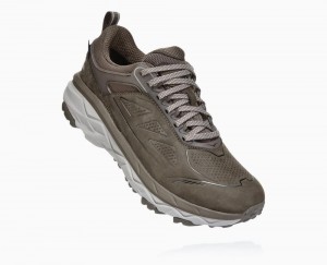 Brown Hoka Challenger Low GORE | 768901MFN