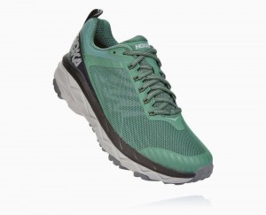 Grey Hoka Challenger ATR 5 | 467301FKO