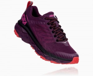 Purple / Red Hoka Challenger ATR 5 | 517689HOS