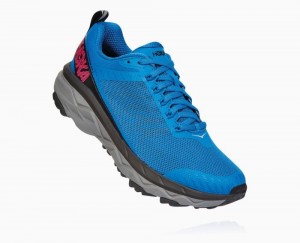 Royal Blue / Pink Peacock Hoka Challenger ATR 5 | 162739YGD