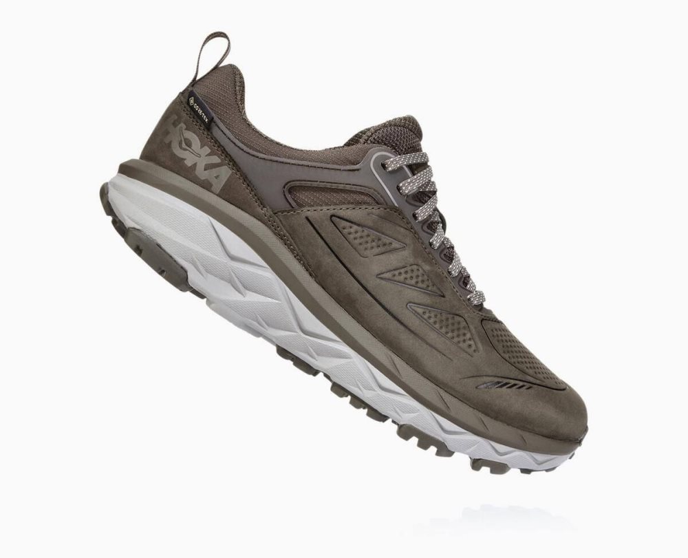 Brown Hoka Challenger Low GORE | 379214AVJ