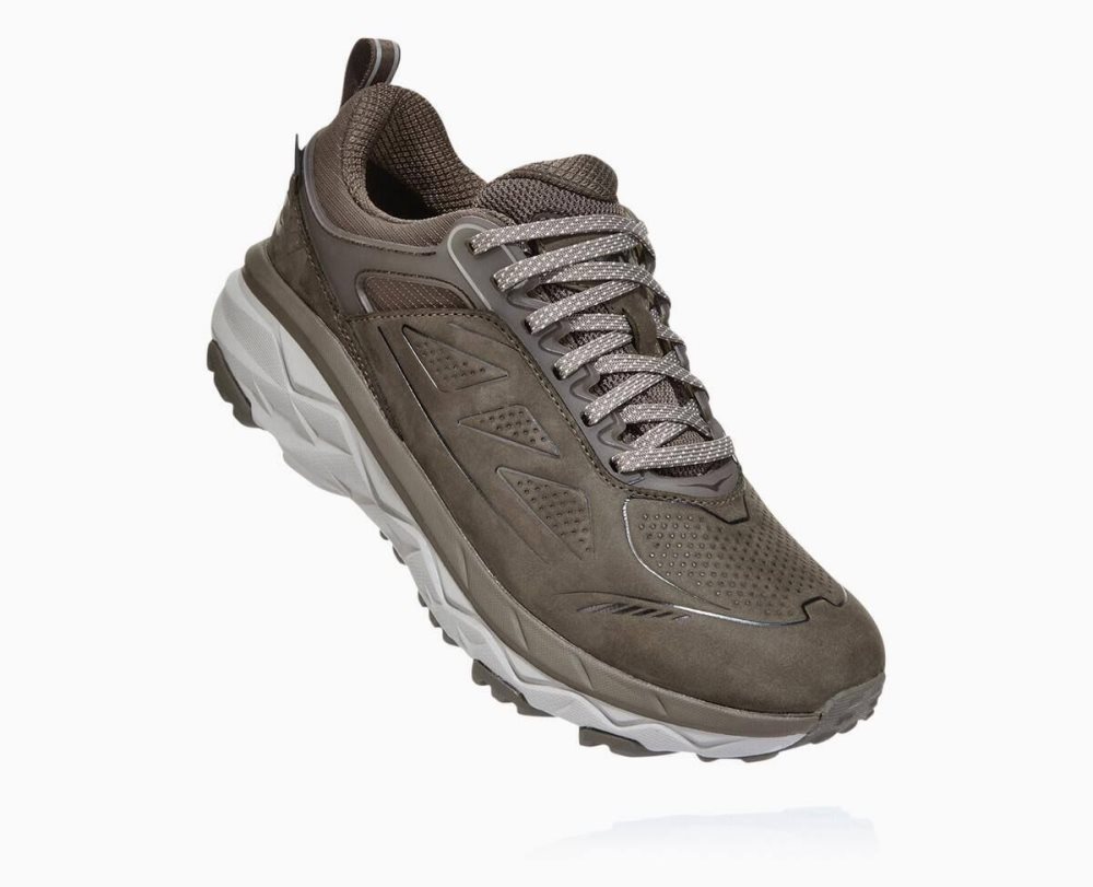 Brown Hoka Challenger Low GORE | 379214AVJ