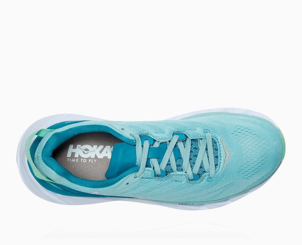 Brown / Blue Hoka Elevon 2 | 418920TFC