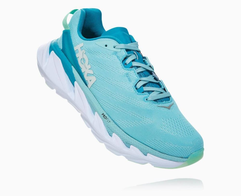 Brown / Blue Hoka Elevon 2 | 418920TFC