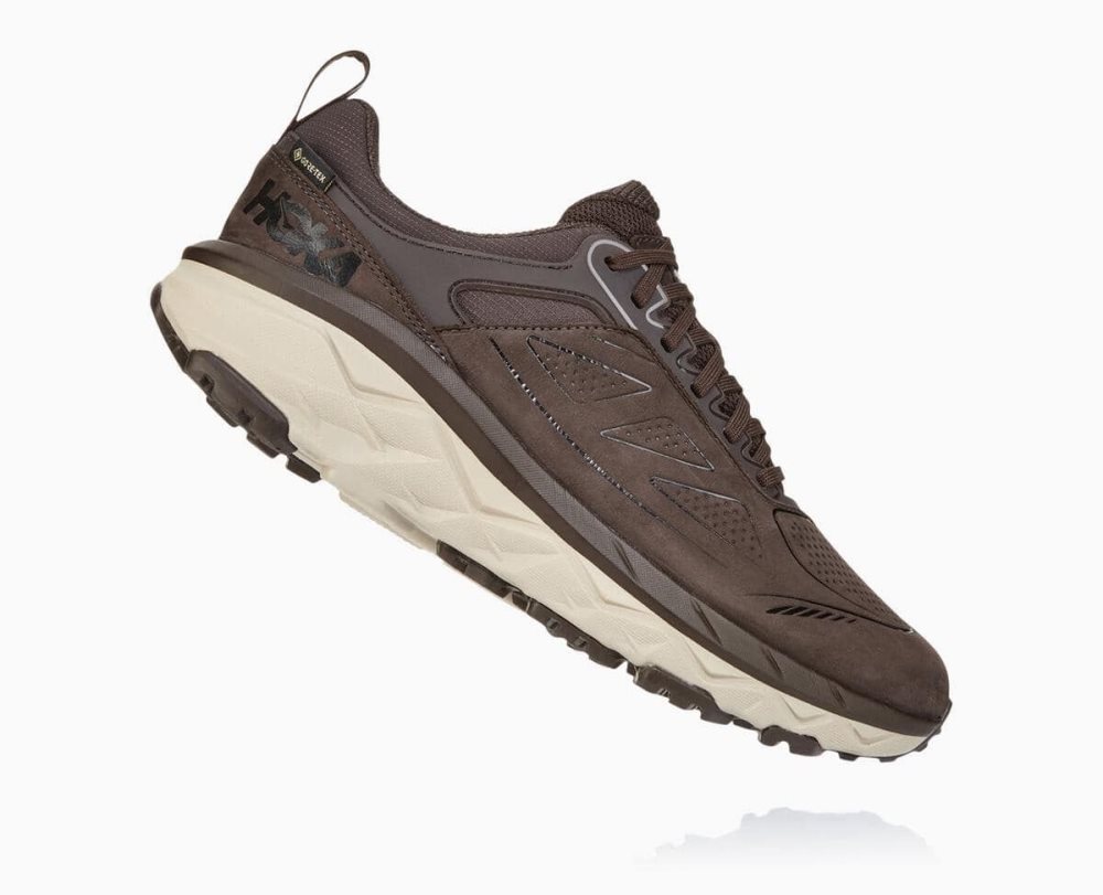 Coffee Hoka Challenger Low GORE | 342160DAN