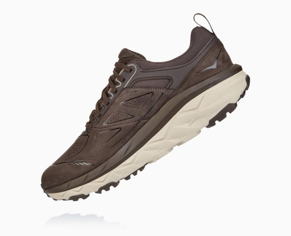 Coffee Hoka Challenger Low GORE | 342160DAN