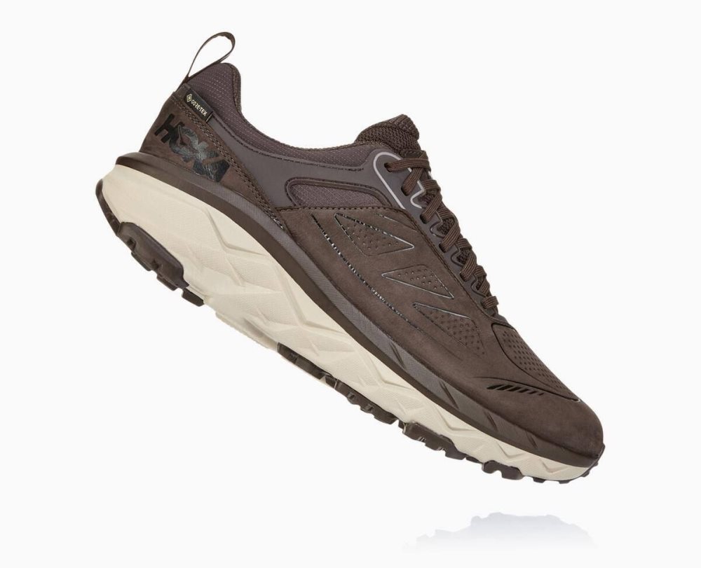 Coffee Hoka Challenger Low GORE | 637825AHE