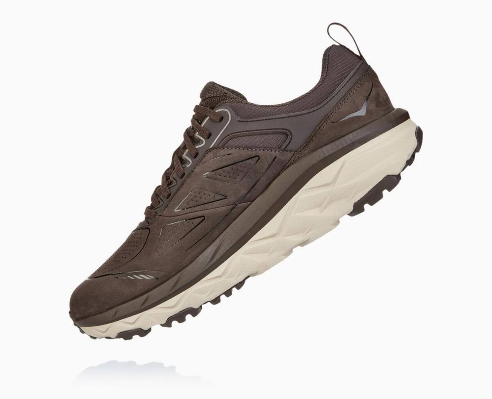 Coffee Hoka Challenger Low GORE | 637825AHE