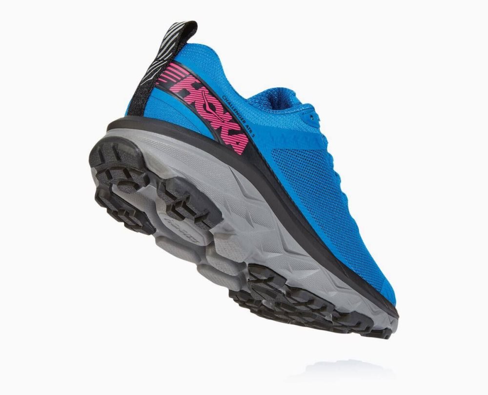 Royal Blue / Pink Peacock Hoka Challenger ATR 5 | 162739YGD