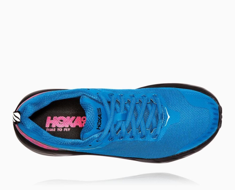 Royal Blue / Pink Peacock Hoka Challenger ATR 5 | 162739YGD